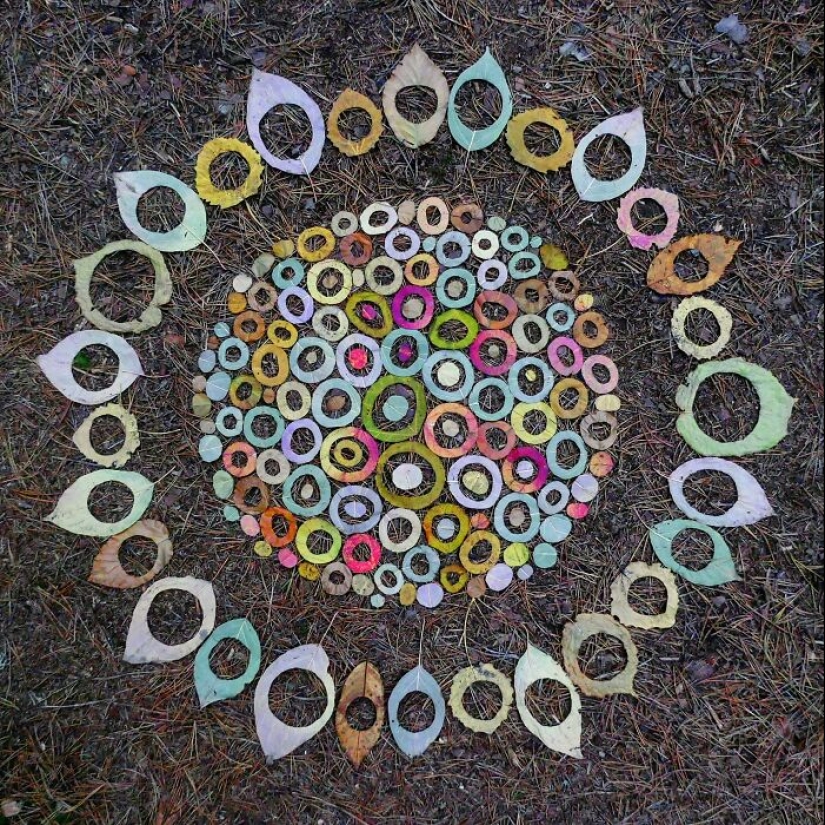 Creo arte fugaz con los regalos de la naturaleza Creo arte fugaz con los regalos de la naturaleza