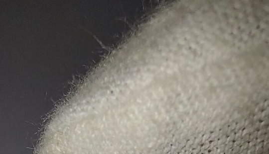 Creo la pintura más pequeña del mundo