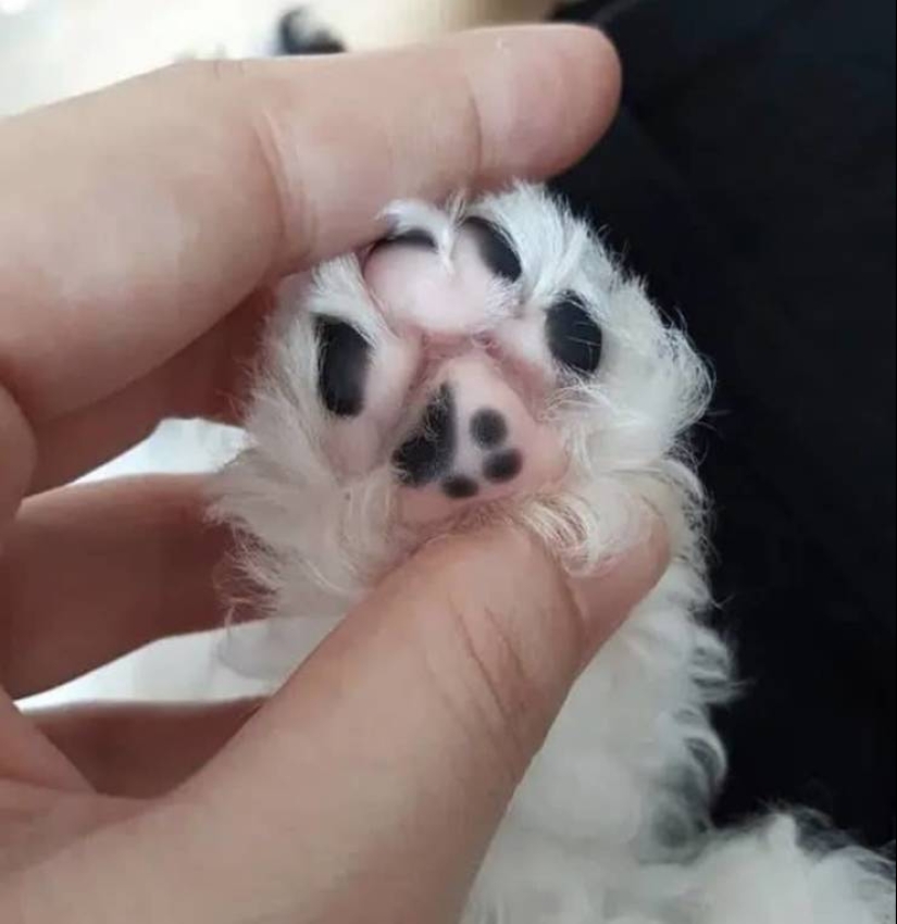 Cuando la matriz falló: 20 fotos mostrando cosas extrañas