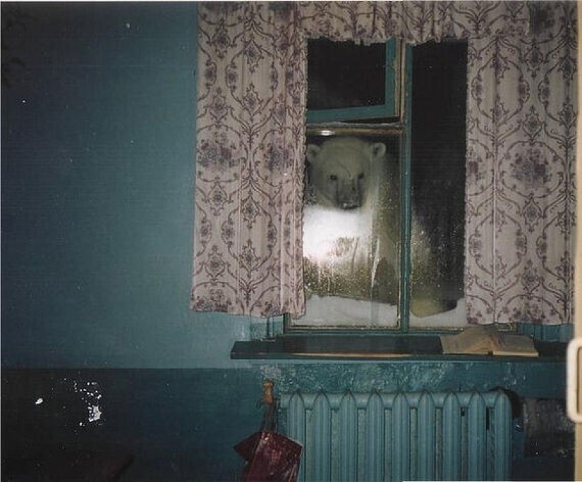 Decay period: 40 pictures from the 90s that will cause mixed feelings Decay period: 40 pictures from the 90s that will cause mixed feelings