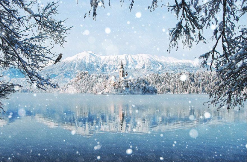 Delightful winter landscapes Delightful winter landscapes