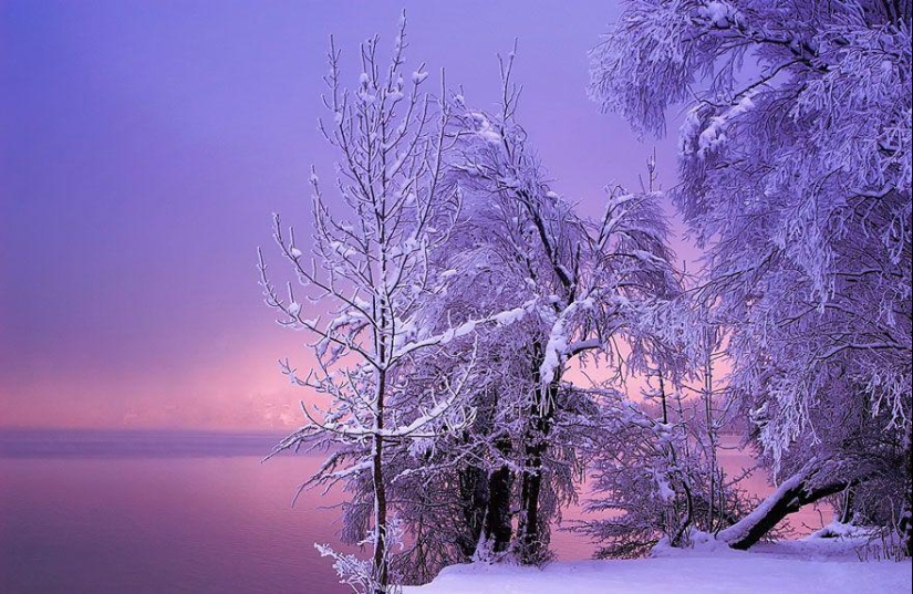Delightful winter landscapes Delightful winter landscapes