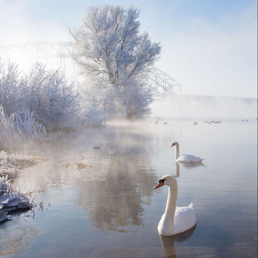 Delightful winter landscapes Delightful winter landscapes