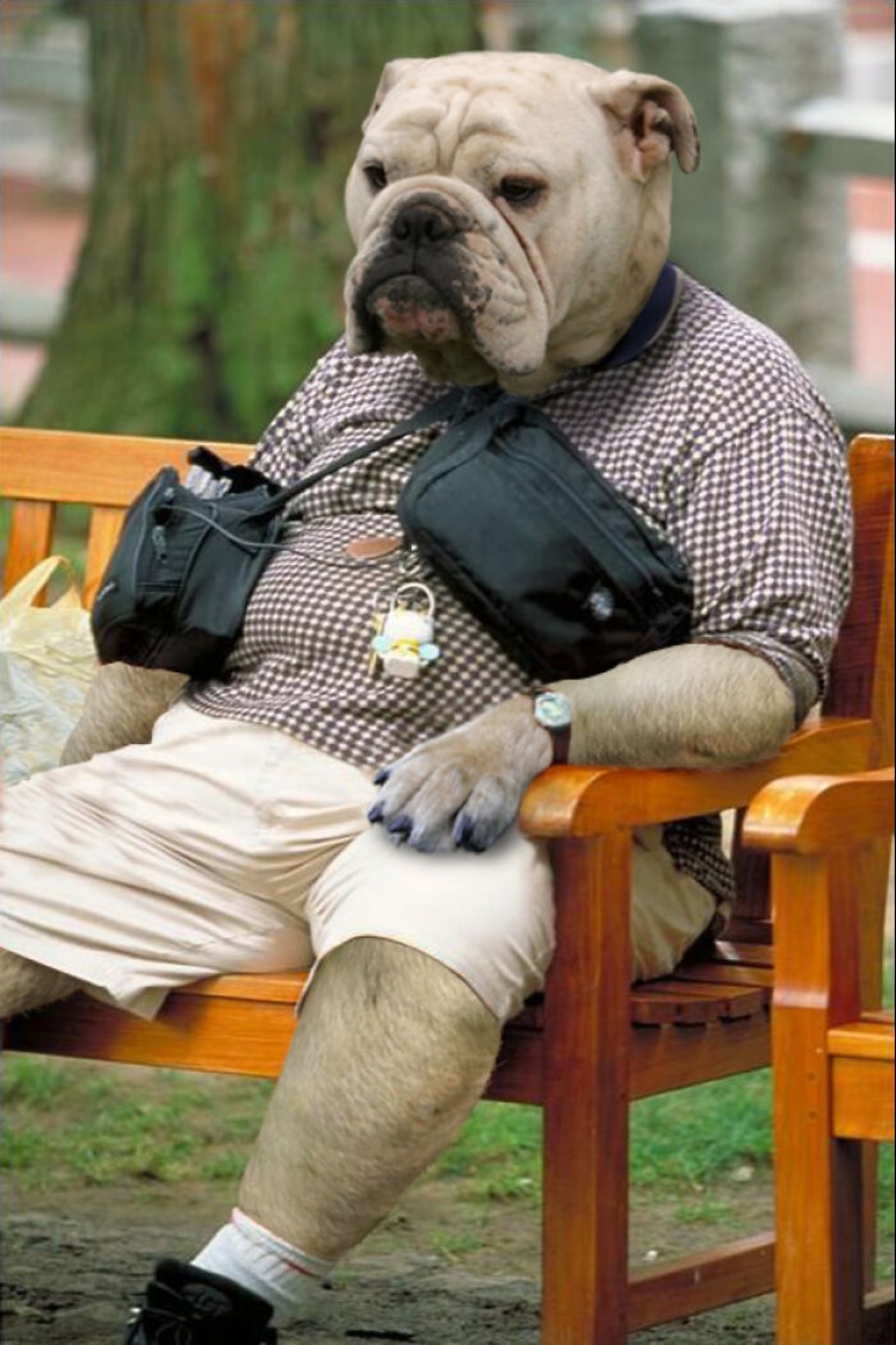 Designers Were Challenged To Dress-Up Animals In Human Clothing, Here Is How It Went