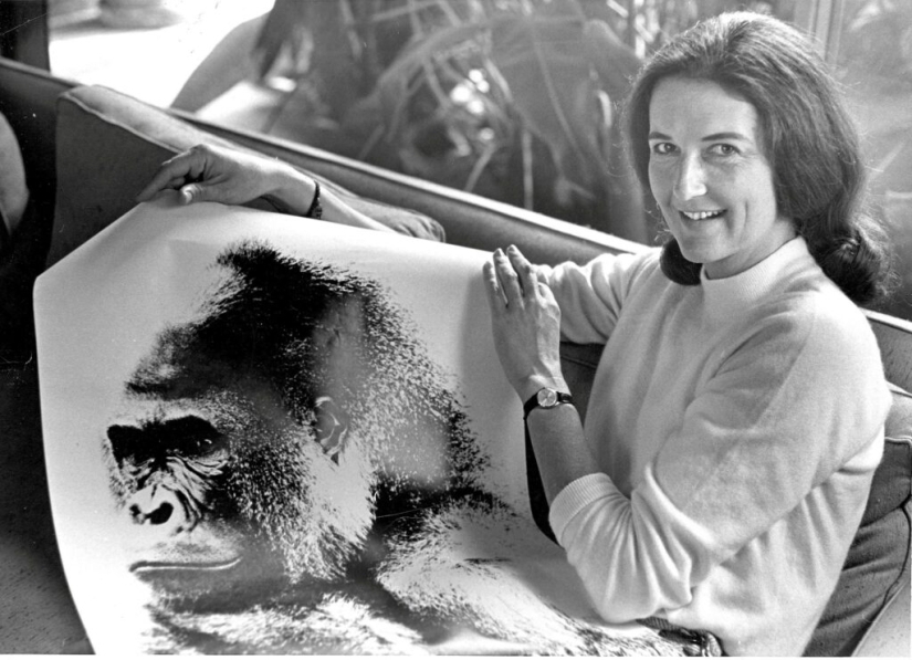 Dian Fossey - the life and death of the brave &quot;Queen of the Monkeys&quot;