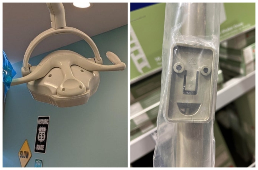 Did it seem? 22 photos of things that look like other things