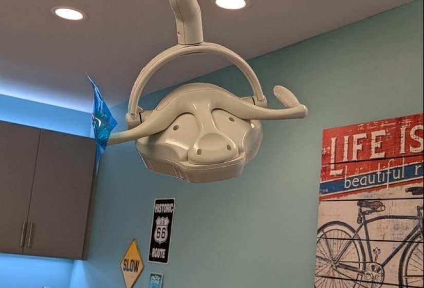 Did it seem? 22 photos of things that look like other things