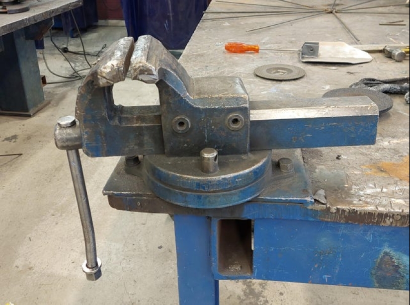 Did it seem? 22 photos of things that look like other things