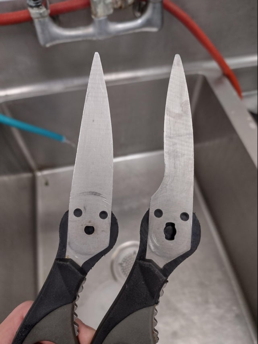 Did it seem? 22 photos of things that look like other things