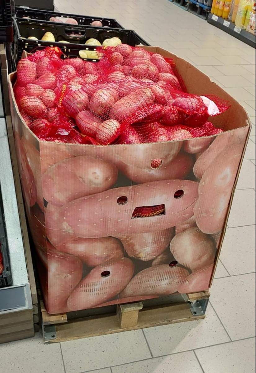 Did it seem? 22 photos of things that look like other things