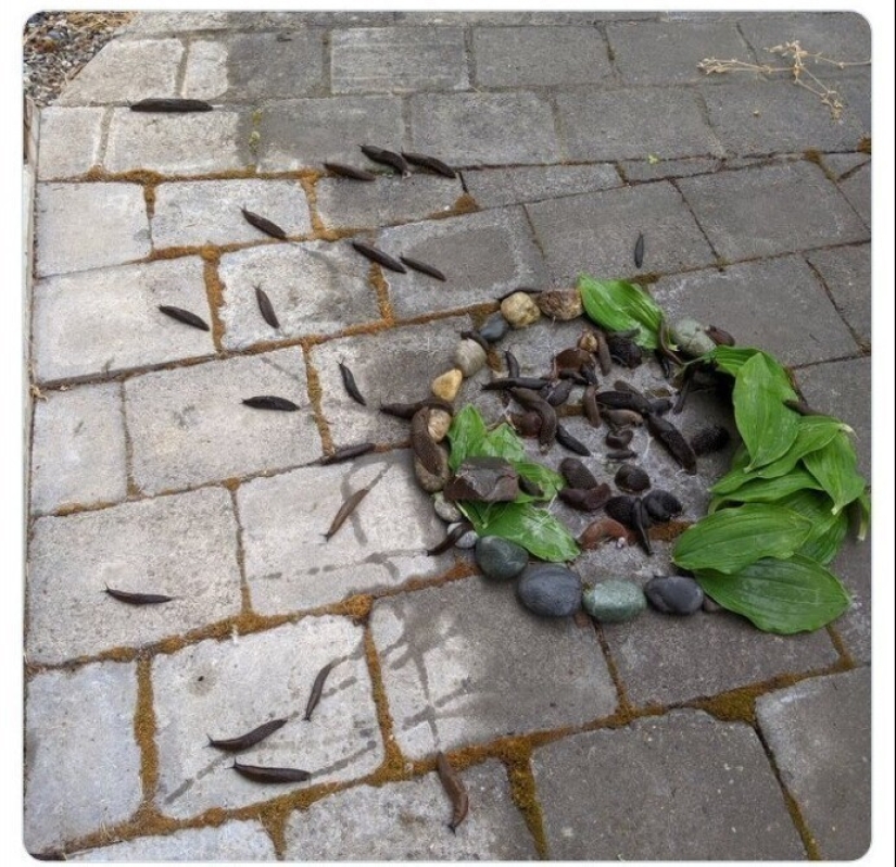 Diversión y miedo: cómo se ve realmente la vida con niños