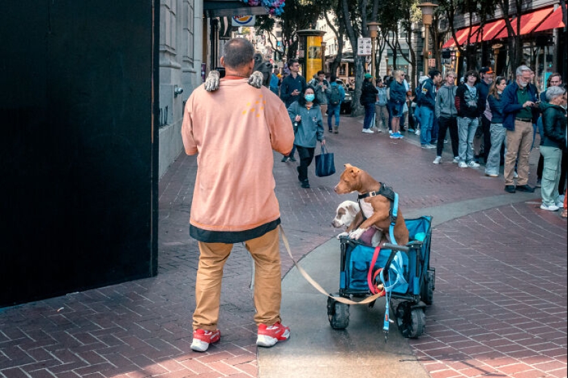 Divertidas imágenes callejeras: “La vida no es más que un sueño”, de Eric Davidove