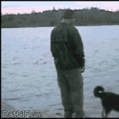 Do not spit into the well! 22 gifs that prove the instant karma exists