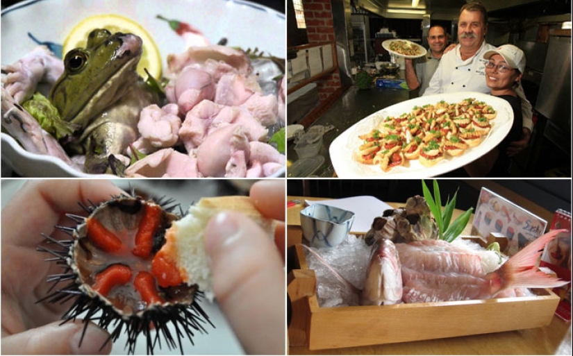 Eat the living: 10 of the most sadistic dishes in the world Eat the living: 10 of the most sadistic dishes in the world