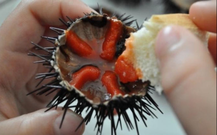 Eat the living: 10 of the most sadistic dishes in the world Eat the living: 10 of the most sadistic dishes in the world