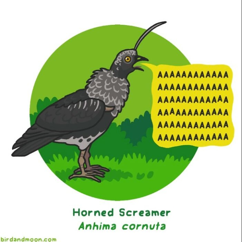 El artista crea cómics que representan momentos humorísticos en la naturaleza. El artista crea cómics que representan momentos humorísticos en la naturaleza.