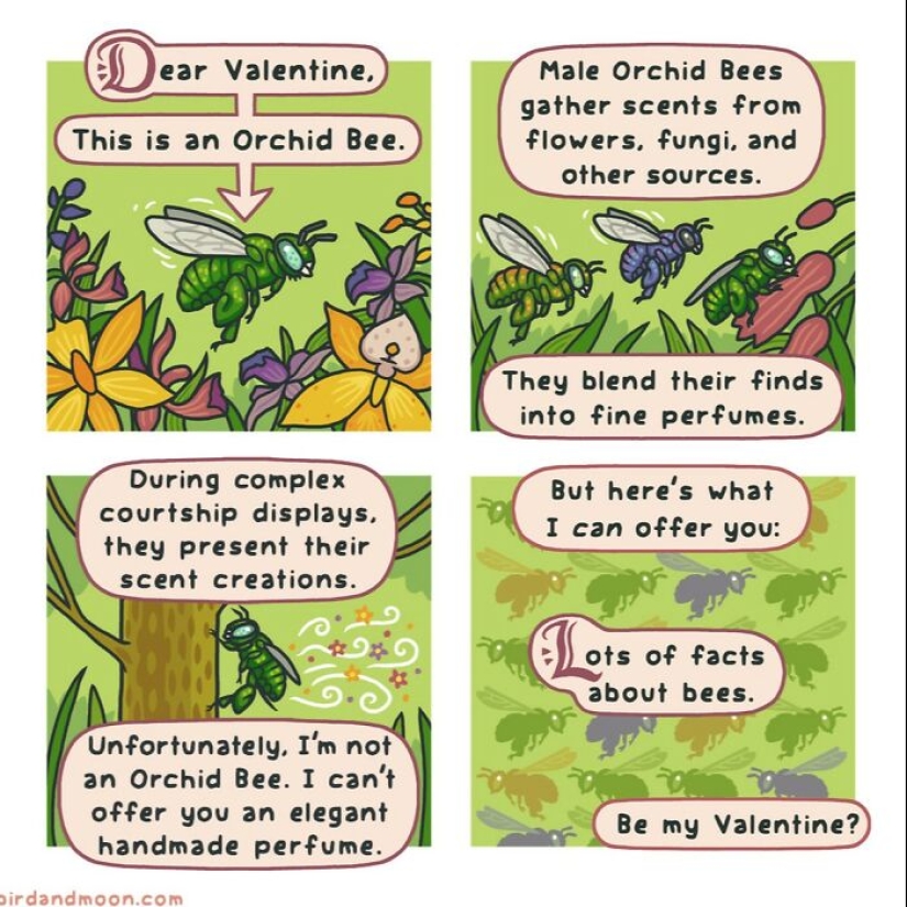 El artista crea cómics que representan momentos humorísticos en la naturaleza. El artista crea cómics que representan momentos humorísticos en la naturaleza.