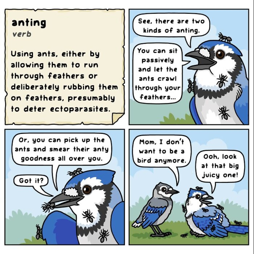 El artista crea cómics que representan momentos humorísticos en la naturaleza. El artista crea cómics que representan momentos humorísticos en la naturaleza.