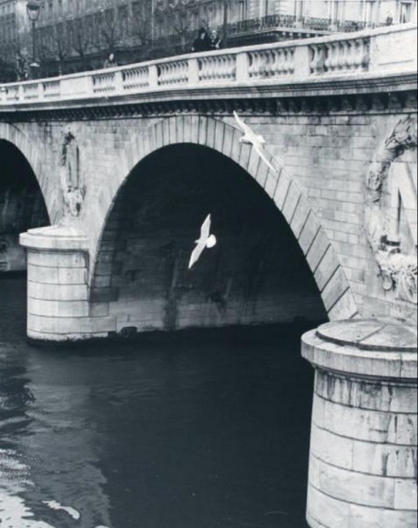 El fotógrafo Izis Bidermanas: "Esto no es París y no a la antigua, pero a mi solo" El fotógrafo Izis Bidermanas: "Esto no es París y no a la antigua, pero a mi solo"