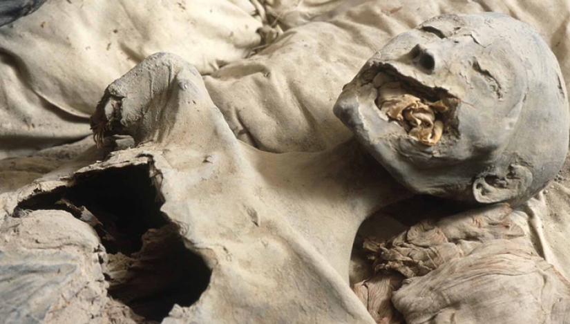 El misterioso destino de la Reina Nefertiti: el matrimonio precoz, la peste, la intriga, y la desaparición de