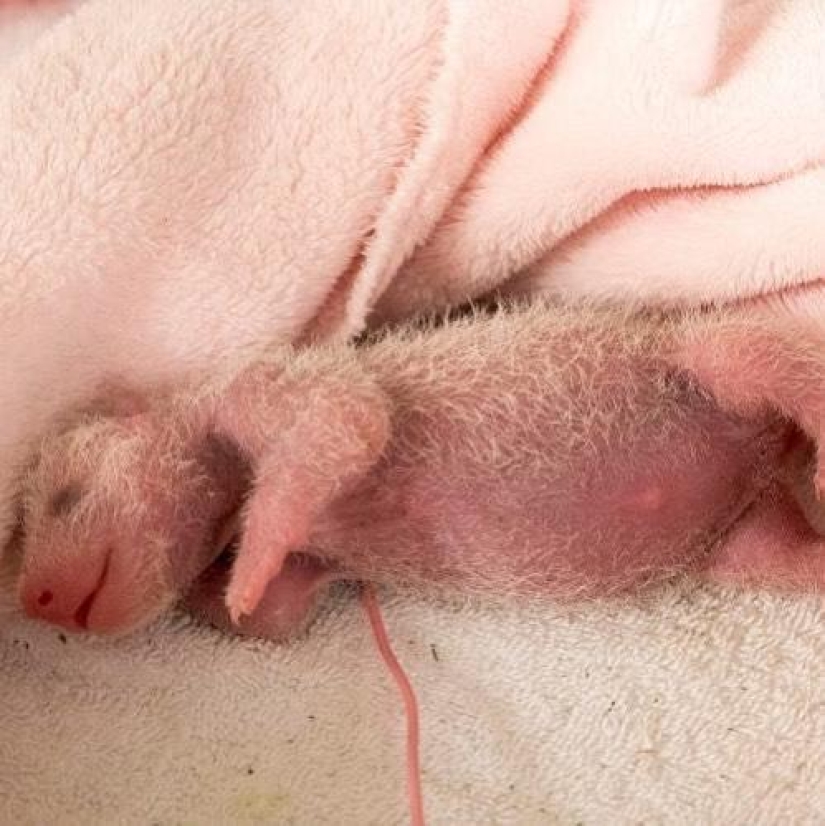 El mundo todavía es capaz de sorprender: 22 fotos que no te dejará indiferente