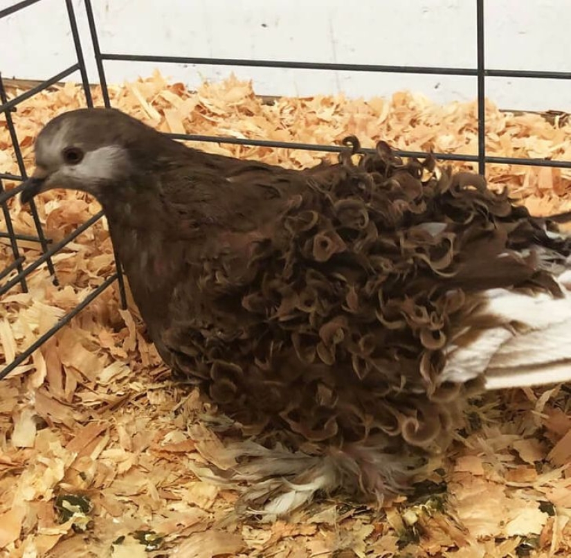 El mundo todavía es capaz de sorprender: 22 fotos que no te dejará indiferente