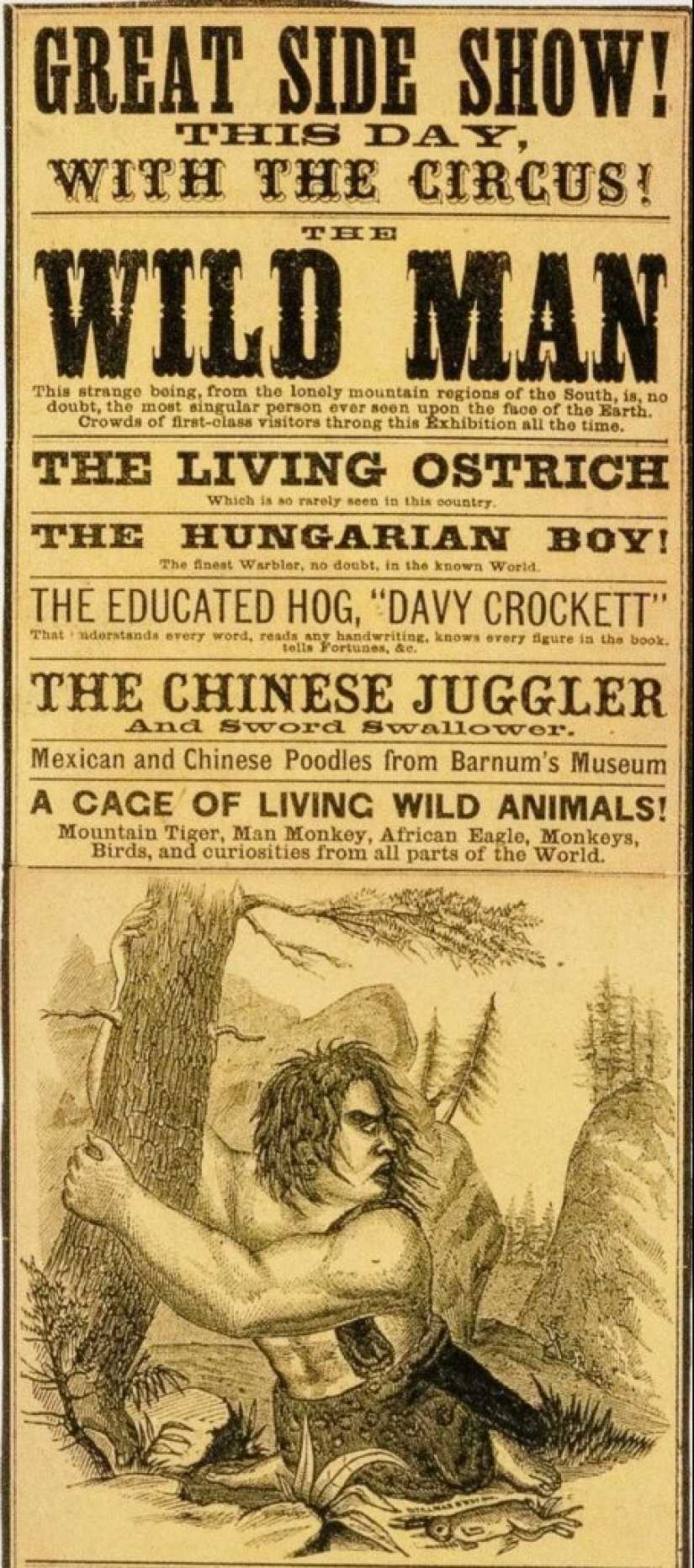 Eli Bowen es un acróbata sin piernas que demostró que nada es imposible. Eli Bowen es un acróbata sin piernas que demostró que nada es imposible.