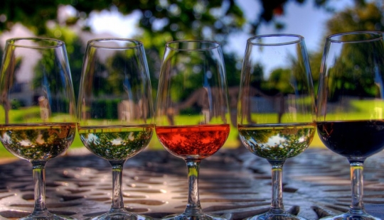 Elixir of the Gods: 36 interesting facts about wine
