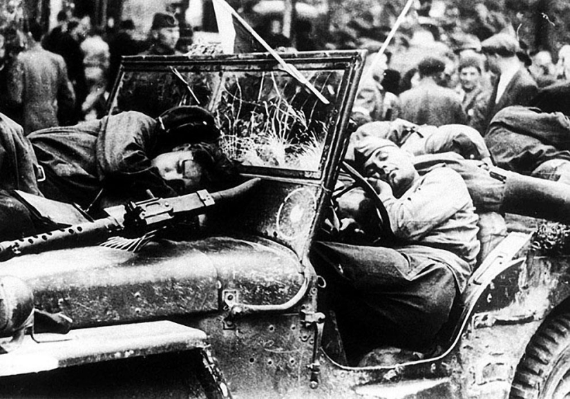 En el Día de la Victoria: 35 fotos famosas de la Gran Guerra Patria