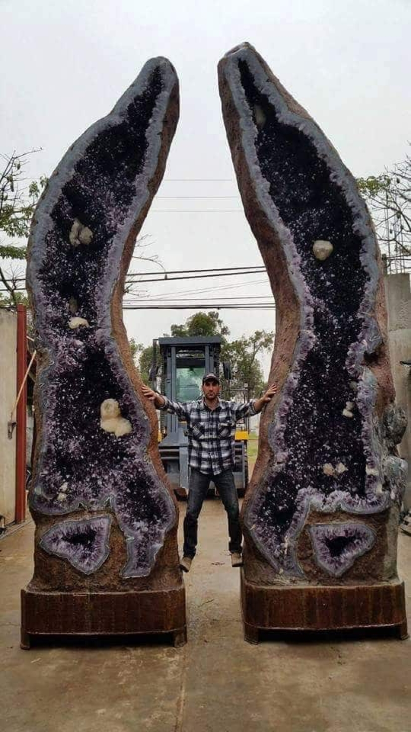 Ese es el tamaño! 22 fotos de cosas increíblemente enormes