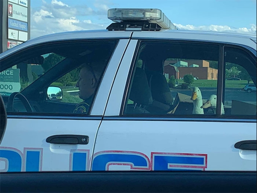 Esta página de Instagram comparte las fotos y los memes más malditos, y aquí están los 10 más picantes Esta página de Instagram comparte las fotos y los memes más malditos, y aquí están los 10 más picantes