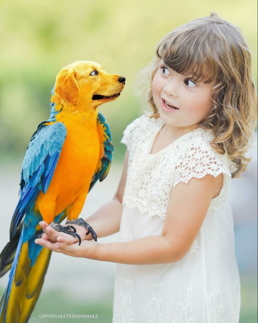 Este artista crea animales que no existen fusionando dos