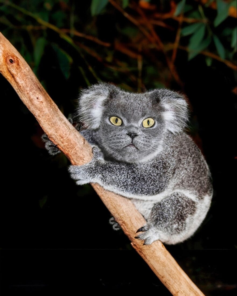 Este artista crea animales que no existen fusionando dos