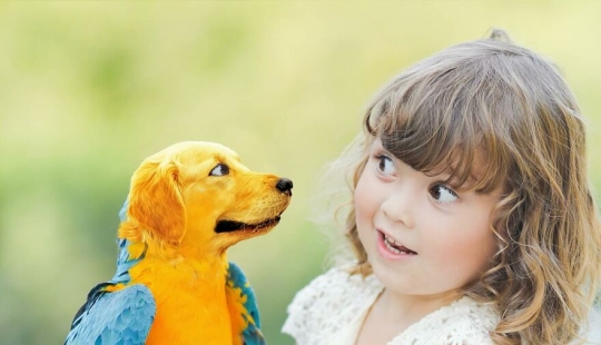 Este artista crea animales que no existen fusionando dos Este artista crea animales que no existen fusionando dos