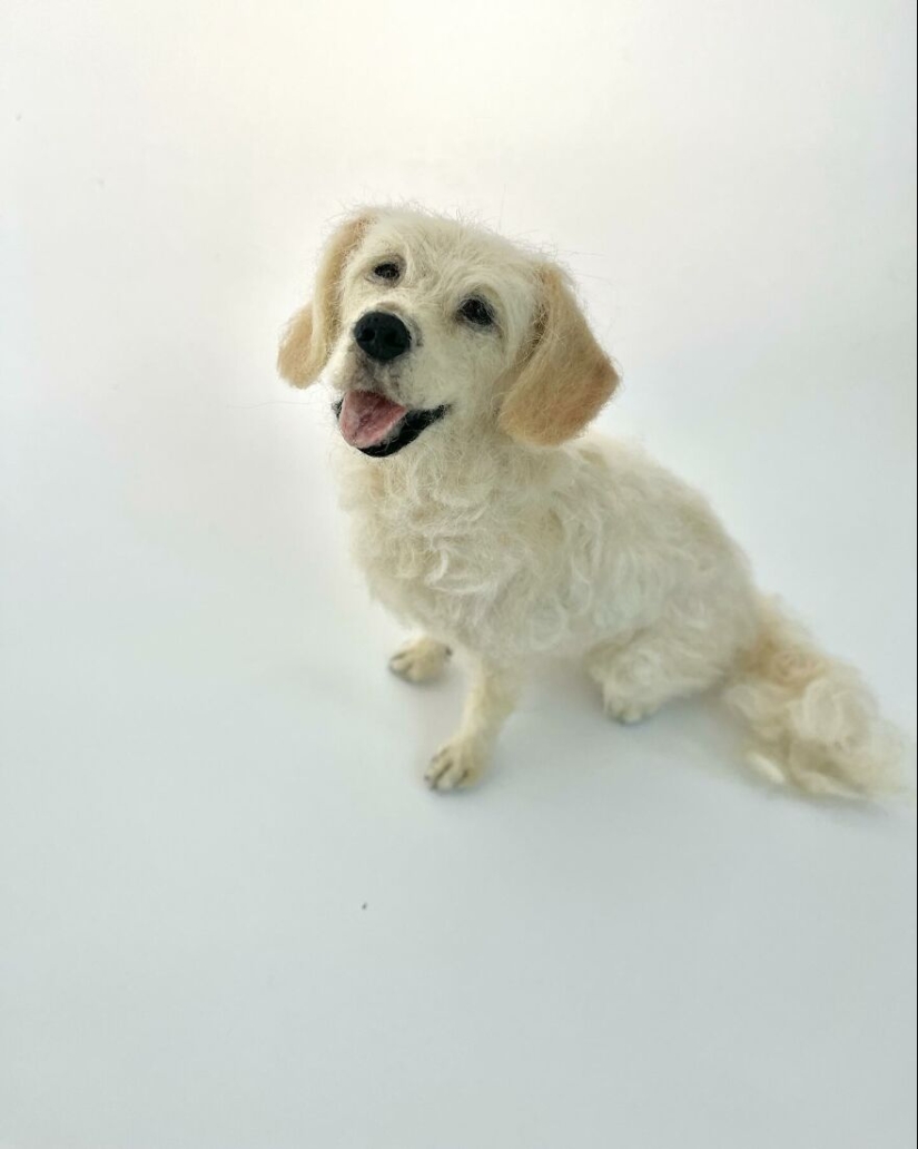 Este artista hace figuras de animales en lana extremadamente realistas, y aquí están 10 de las mejores Este artista hace figuras de animales en lana extremadamente realistas, y aquí están 10 de las mejores