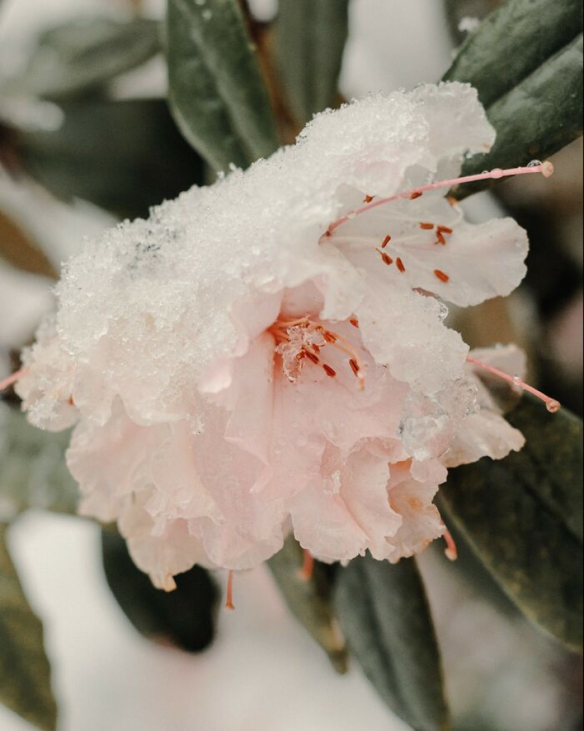 Este fotógrafo capturó 15 momentos mágicos que revelan la belleza de los objetos cotidianos Este fotógrafo capturó 15 momentos mágicos que revelan la belleza de los objetos cotidianos