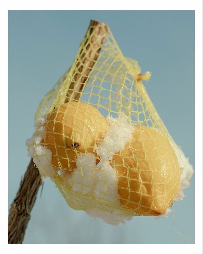 Este fotógrafo capturó 15 momentos mágicos que revelan la belleza de los objetos cotidianos Este fotógrafo capturó 15 momentos mágicos que revelan la belleza de los objetos cotidianos