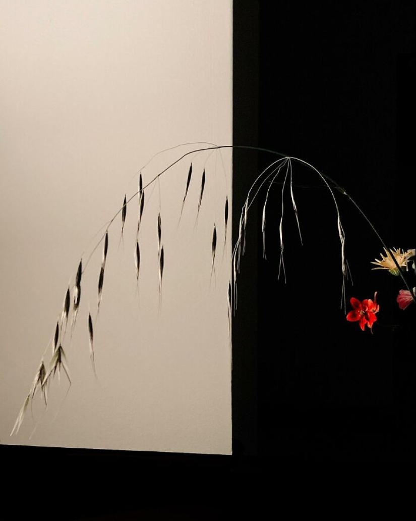 Este fotógrafo capturó 15 momentos mágicos que revelan la belleza de los objetos cotidianos Este fotógrafo capturó 15 momentos mágicos que revelan la belleza de los objetos cotidianos