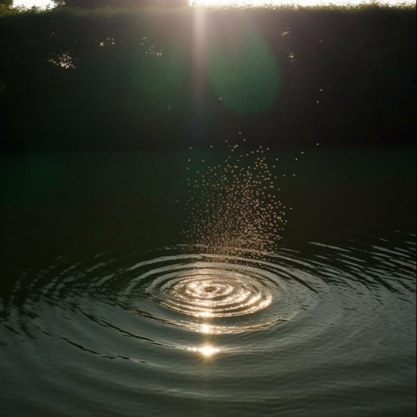Este fotógrafo capturó 15 momentos mágicos que revelan la belleza de los objetos cotidianos Este fotógrafo capturó 15 momentos mágicos que revelan la belleza de los objetos cotidianos