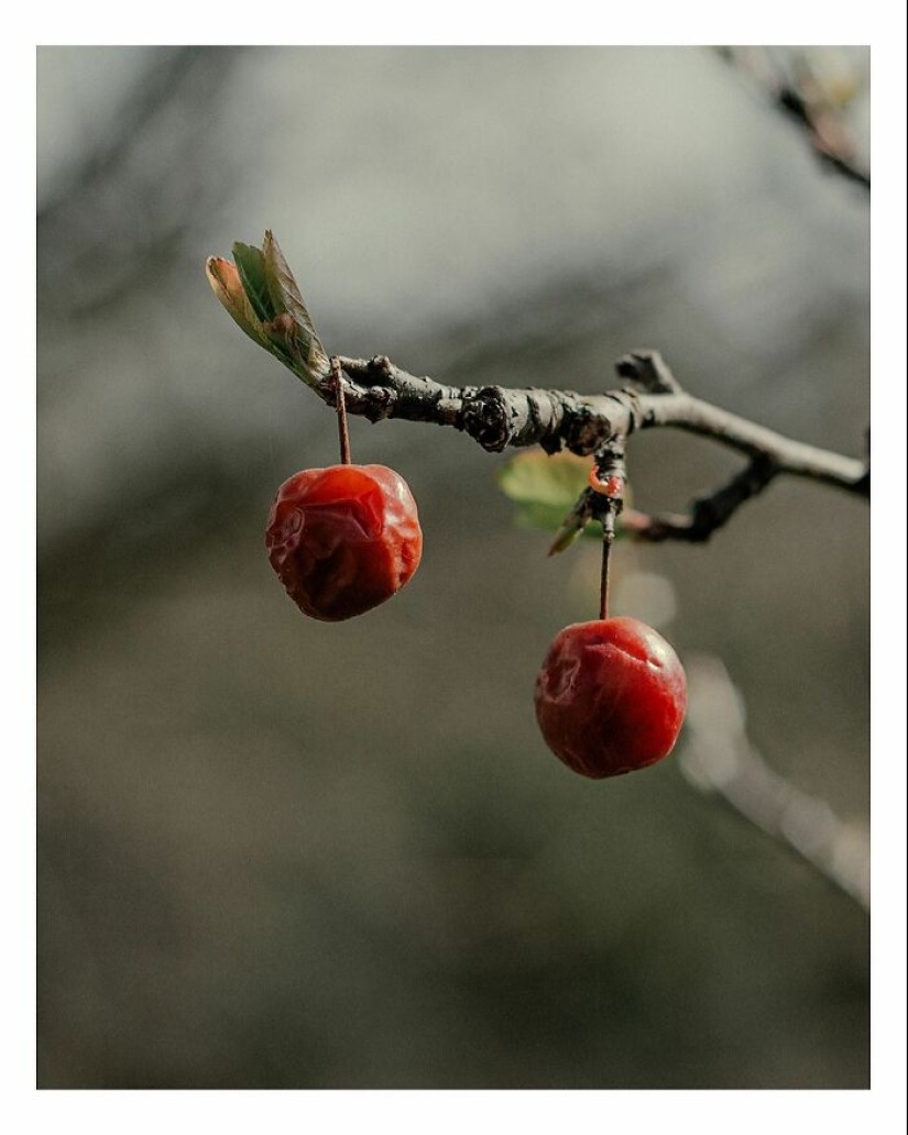 Este fotógrafo capturó 15 momentos mágicos que revelan la belleza de los objetos cotidianos Este fotógrafo capturó 15 momentos mágicos que revelan la belleza de los objetos cotidianos