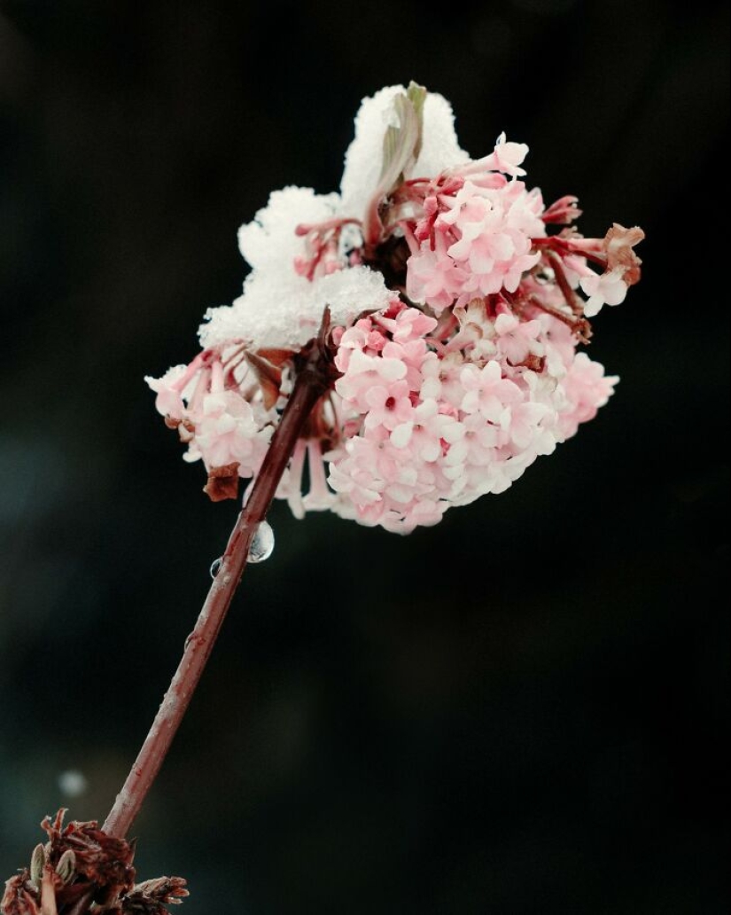 Este fotógrafo capturó 15 momentos mágicos que revelan la belleza de los objetos cotidianos Este fotógrafo capturó 15 momentos mágicos que revelan la belleza de los objetos cotidianos