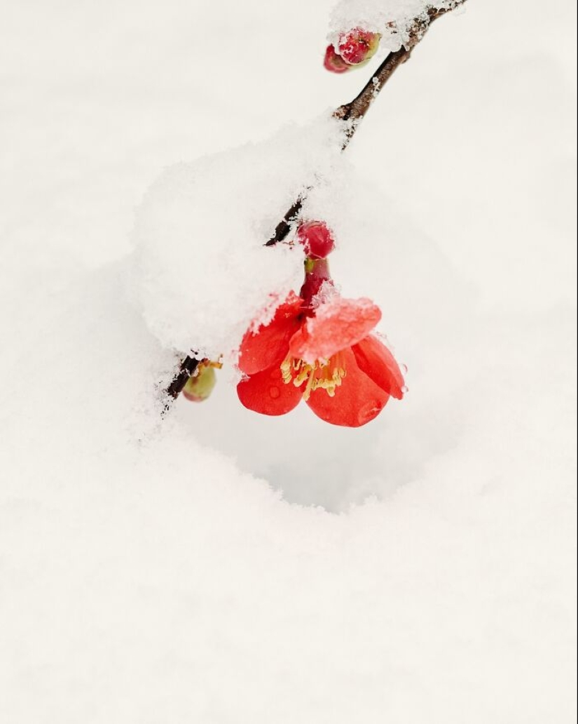 Este fotógrafo capturó 15 momentos mágicos que revelan la belleza de los objetos cotidianos Este fotógrafo capturó 15 momentos mágicos que revelan la belleza de los objetos cotidianos
