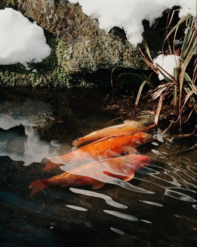 Este fotógrafo capturó 15 momentos mágicos que revelan la belleza de los objetos cotidianos Este fotógrafo capturó 15 momentos mágicos que revelan la belleza de los objetos cotidianos