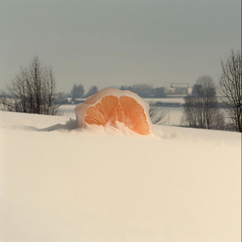 Este fotógrafo capturó 15 momentos mágicos que revelan la belleza de los objetos cotidianos Este fotógrafo capturó 15 momentos mágicos que revelan la belleza de los objetos cotidianos