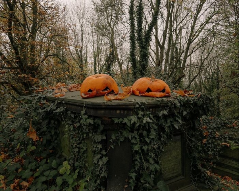 Este fotógrafo capturó 15 momentos mágicos que revelan la belleza de los objetos cotidianos Este fotógrafo capturó 15 momentos mágicos que revelan la belleza de los objetos cotidianos
