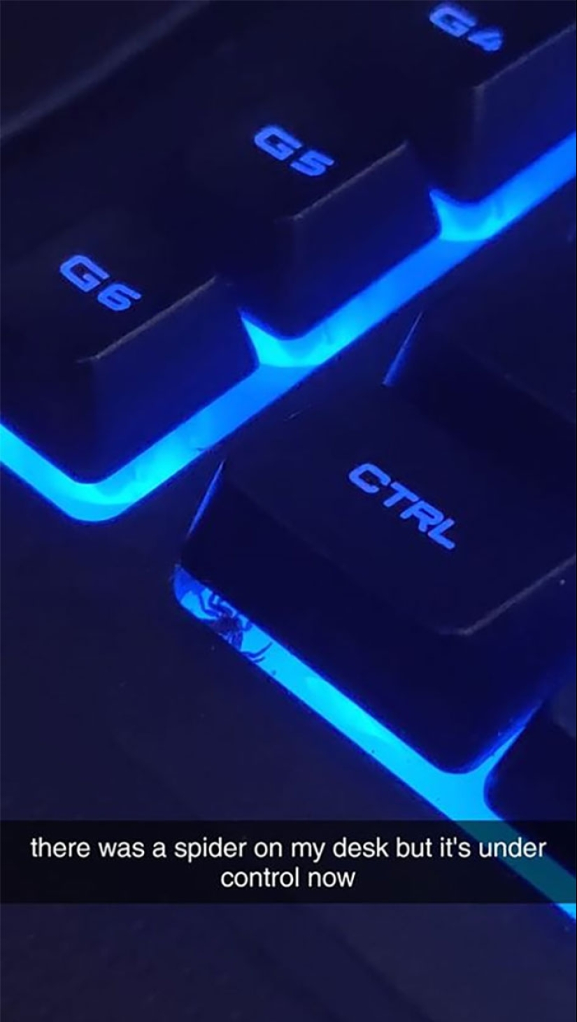 Este grupo de Facebook está dedicado a fotografías de vida silvestre que son tan malas que son buenas Este grupo de Facebook está dedicado a fotografías de vida silvestre que son tan malas que son buenas