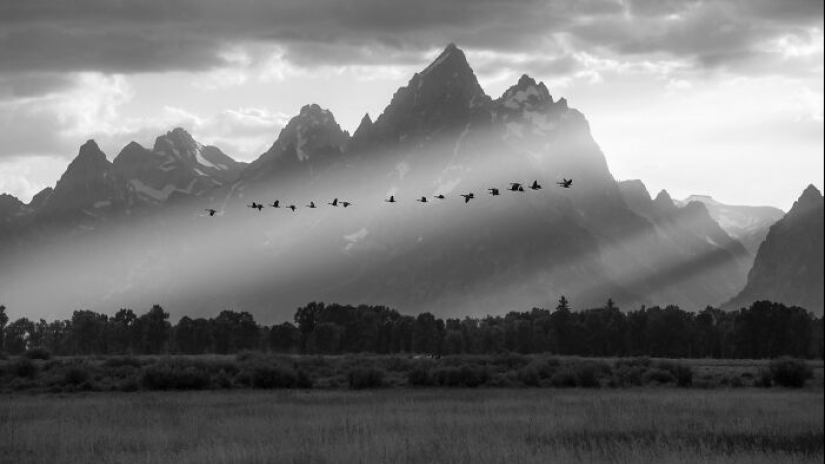 Exposure One Awards: 11 Winning Black And White Photographs Exposure One Awards: 11 Winning Black And White Photographs