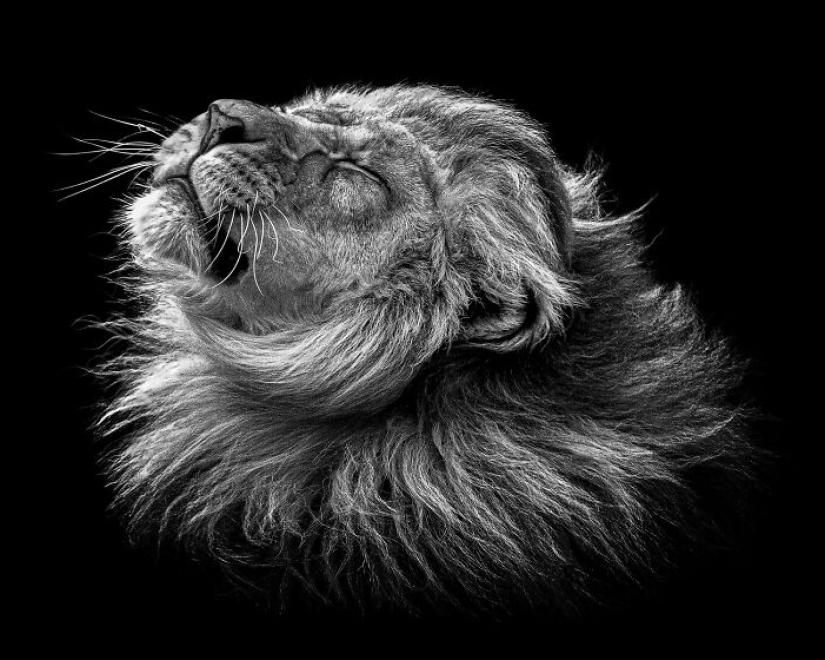 Exposure One Awards: 11 Winning Black And White Photographs Exposure One Awards: 11 Winning Black And White Photographs