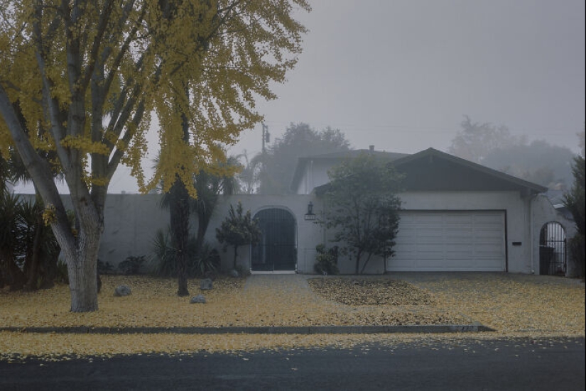 “Fading”: The Quiet Poetry Of Suburban Disconnection By Mischa Lluch