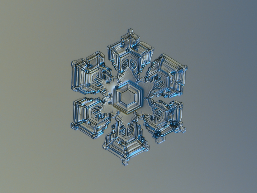 Fascinating macro snowdrops in the photo of the Russian master